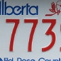 Licence Plate Alberta