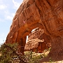 Arches Park - Pine Tree Arch