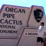 Das Organ Pipe Cactus National Monument ist ein National Monument im südlichen Arizona, direkt an der mexikanischen Grenze. Den Status eines National Monuments bekam dieser Park am 13. April 1937 und wird seit dem vom National Park Service verwaltet.<br /><br />Das National Monument liegt im nördlicgen Bereich des Sonora-Wüste, die sich bis weit nach Mexiko hinein erstreckt. Der Park ist nach den Organ Pipe Cactus (Orgelpfeifen Kaktus) benannt, die es innerhalb der USA nur noch in diesem Park und in der Umgebung gibt. Ausserdem liegen im Park auch noch bis zu 15 meter hohe Saguaro Kakteen. Innerhalb des Monuments gibt es ca. 25 weitere Kakteenarten. Neben den verschiedenen Kakteen gibt es auch noch Creosot, Mesquite und Paloverde Büsche. Die Hauptblützeit liegt zwischen März und Juni. Wegen der starken Hitze am Tag sind die meisten Tiere im Park nachtaktiv. Tägsüber sind Vögel, verschiedene Eidechsenarten und mit ein wenig Glück auch Schlangen zu beobachten.<br /><br />Besucht am 2.5.2001
