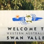 Swan Valley ist ein Weinanbaugebiet beiderseits des Flusses Swan River nordöstlich der westaustralischen Bundeshauptstadt Perth.<br />Am 13.3.2009 geknipst