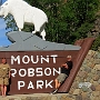 Der Mount Robson Park liegt an der Provinzgrenze zwischen Alberta und British Columbia. Das 2200 km² große Schutzgebiet erstreckt sich um den 3954 m hohen Mount Robson, dem höchsten Berg der kanadischen Rocky Mountains. Sein Gipfel ist ganzjährig von Schnee und Eis bedeckt.<br />Besucht am 7.6.2017