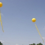 Eigentlich sind es nur gelbe Ballons, die in der Luft schweben, aber sie machen irgendwie Spaß, vor allen Dingen bei schönem Wetter.<br />25.5.2010