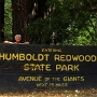 Zum Humboldt Redwoods State Park gehört die Avenue of the Giants, eine 50 Kilometer lange Straße durch die Redwoods.<br /><br />Durchfahren am 21.9.2016