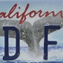 Licence Plate California<br /> <br /> 