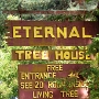 Eternal Tree House<br />Begeh- und bewohnbarer Baum in Scotia, an der Avenue of the Giants.<br />Besucht am 21.9.2016