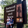Der Redwood-Nationalpark (Redwood National and State Parks) ist ein Nationalpark der USA an der kalifornischen Pazifikküste nahe der Grenze zu Oregon. Im Schutzgebiet wachsen knapp 50 Prozent des natürlichen Bestands an Küstenmammutbäumen Sequoia sempervirens (englisch: Coast Redwood oder California Redwood), den höchsten Bäumen der Erde. Zum Park gehören der naturbelassene, vielgestaltige Küstenstreifen, der von der zerklüfteten Kliffküste über flache Felsstrukturen mit Gezeitentümpeln bis zum Sandstrand reicht, und die Hänge des Küstengebirges, an denen die Mammutbäume die Leitart des Ökosystems gemäßigter Regenwald sind.<br /><br />Besucht am 20.9.2016
