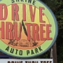 Shrine Drive Tru Tree<br />Durchfahrbarer Baum an der Avenue of the Giants<br /><br />Durchfahren am 21.9.2016