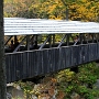 Sentinel Pine Bridge