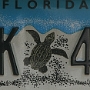 Licence Plate Florida