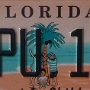 Licence Plate Florida