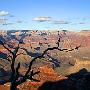 Grand Canyon - Mather Point