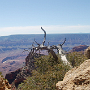 Am 11. Januar 1908 wurde das Gebiet um den Grand Canyon durch US-Präsident Theodore Roosevelt, der sich oft in dem Gebiet aufgehalten hatte, zum National Monument erklärt, bevor es am 26. Februar 1919 als Nationalpark unter Schutz gestellt wurde. Die Einrichtung des Parks gilt als früher Erfolg der Naturschutzbewegung. Der ganze Park ist seit seiner letzten Erweiterung 1975 ca. 4900 km² groß.