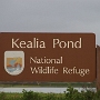 Kealia Pond, ein Naturschutzgebiet.