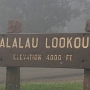 Das Gebiet um den 1.569 m hohen Waialeale ist mit durchschnittlich 11.684 mm Jahresniederschlag einer der regenreichsten Punkte der Erde. <br /><br />Besucht am 8.11.2995 - 13.2.2008 - 18.11.2010