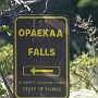 Opaekaa Falls - im Hintergrund verschwommen zu erkennen.