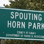 Spouting Horn Park - Woanders heisst es Blowhole - hier Spouting Horn. Ist aber dasselbe - Wasser spuckt aus einem Loch im Felsen. Besucht am 7.11.1995 - 17.11.2010