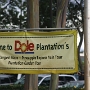 Dole Plantation - Ananasplantage mit grossem Besucherzentrum.