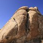 Neben den Joshua Tree-Wäldern bietet der Park eine der interessantesten geologischen Formationen, die man in den kalifornischen Wüsten findet. Es herrschen kahle Felsen vor, die in der Regel in einzelne Felsformationen aufgebrochen sind.