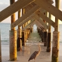 Florida - Redington Beach    © Kerstin