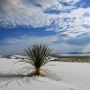 New Mexico - White Sands National Monument   © Markus1996				