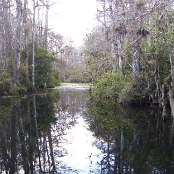Everglades NP 1