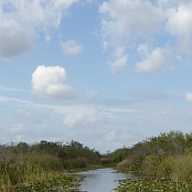 Everglades NP 5