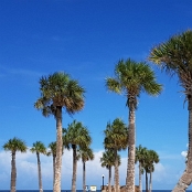 Florida 06
Pine Island Beach Park