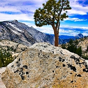 25 Yosemite