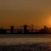6 Sunrise NYC