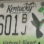 Licence Plate Kentucky