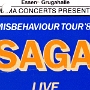 Saga - 1.3.1986 - Grugahalle Essen<br />Mit den fantastischen Honeymoon Suite als Vorgruppe