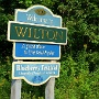 Welcome to Wilton<br />21.8.2017