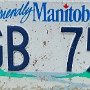 Licence Plate Manitoba