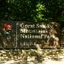 Der Great-Smoky-Mountains-Nationalpark liegt in den Appalachen auf dem Gebiet der US-Bundesstaaten North Carolina und Tennessee. Er wurde am 15. Juni 1934 eingerichtet. Der Wald, der den Park bedeckt, gehört zu den ältesten Wäldern der Erde und ist das größte Urwaldgebiet im Osten der USA. Die Gletscher, die sich während der Eiszeiten in Nordamerika ausdehnten, reichten in ihrer maximalen Ausdehnung bis an die Grenzen des Parks.<br /><br />Der Park ist mit zwischen 8 und 10 Millionen Besuchern der meistfrequentierte Nationalpark in den USA, trotzdem beschränkt sich der Verkehr auf die größeren Straßen. Die 450 Kilometer Straße abseits der Hauptwege und die 1.400 Kilometer Wanderwege des Parks sind verhältnismäßig wenig frequentiert.<br /><br />Besucht am 10.8.2009