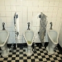 Was jeder wissen will: Wie sehen die Toiletten im Capitol aus.<br />So ......