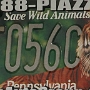 Licence Plate Pennsylvania