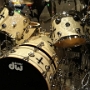 Drumkit von Peter Criss