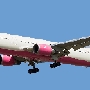 Delta Airlines - Boeing 767-432(ER) - N845MH "Breast Cancer Research Foundation (2010)" Livery<br />FRA - Aussichtsplattform Zeppelinheim - 12.8.2013
