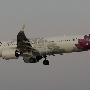 Hawaiian Airlines - Airbus A321-271N - N202HA "Maile"<br />LAS - Jack in the Box - 4.5.2022 - 7:35 PM