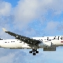 Avianca - Airbus A330-243 - N279AV "Star Alliance" Livery"<br />MIA - El Dorado Furniture Outlet - 3.1.2020
