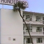 Thunderbird Motel - Daytona Beach<br />22.11.1993 - Preis pro Nacht: 47,30 DM