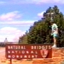 Die Natural Bridges gehören zur Kategorie der "National Monumente" und liegen im Staat Utah/USA im White- und Armstrong Canyon, am östlichen Rand des Colorado Plateau. <br /><br />Besucht am 14.5.1995 (im Bild) - 16.3.2006 - 30.9.2015