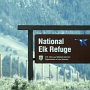 Das National Elk Refuge ist ein Wildlife Refuge in Jackson Hole im US-Bundesstaat Wyoming. Es wurde 1912 gegründet, um den Lebensraum einer der größten Elchherden zu schützen. Mit insgesamt 24.700 Hektar grenzt die Zuflucht an die Stadt Jackson, Wyoming im Südwesten, den Bridger-Teton National Forest im Osten und den Grand Teton National Park im Norden. Es ist die Heimat von durchschnittlich 7.500 Elchen pro Winter.