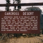 Carcross Desert - die kleinste Wüste der Welt.<br />Echte Sanddünen, entstanden aus dem sandigen Boden eines Eiszeitsees, bedecken auf nur wenigen Quadratkilometern den Boden. Der starke Wind vom Lake Bennett verhindert hier eine Ausbreitung der Vegetation.<br /><br />Besucht am 21.5.1998